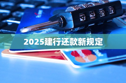 2025建行还款新规定