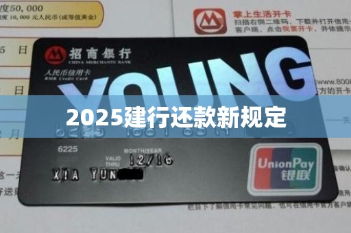 2025建行还款新规定