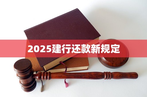 2025建行还款新规定