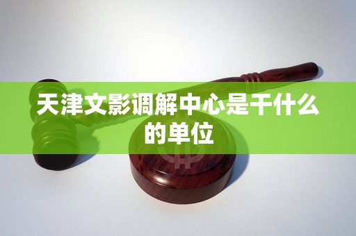 天津文影调解中心是干什么的单位 天津文影调解中心是干什么的单位