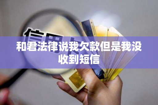 和君法律说我欠款但是我没收到短信 和君法律说我欠款但是我没收到短信