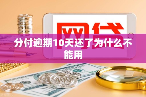 分付逾期10天还了为什么不能用