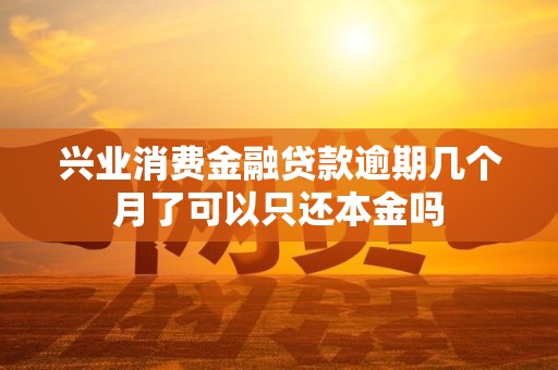 兴业消费金融贷款逾期几个月了可以只还本金吗