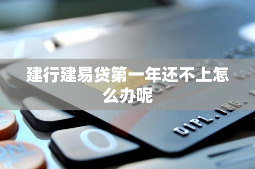 建行建易贷第一年还不上怎么办呢