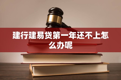 建行建易贷第一年还不上怎么办呢