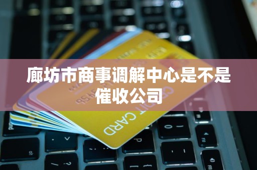 廊坊市商事调解中心是不是催收公司
