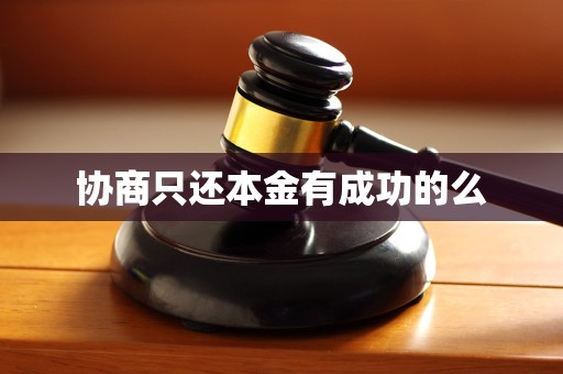 协商只还本金有成功的么