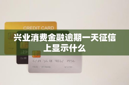 兴业消费金融逾期一天征信上显示什么 兴业消费金融逾期一天征信上显示什么