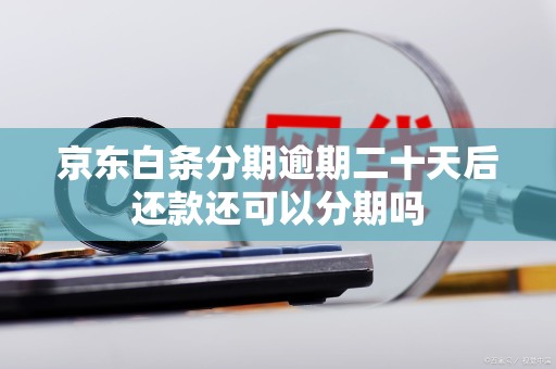 京东白条分期逾期二十天后还款还可以分期吗