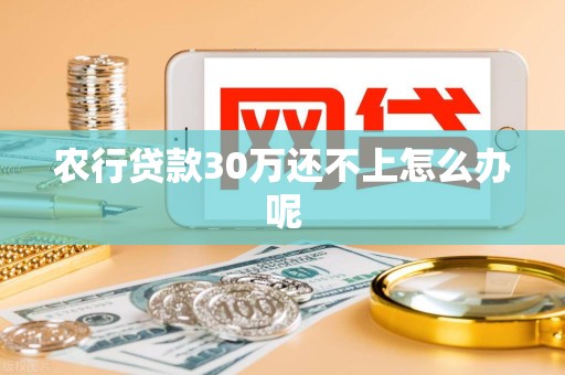 农行贷款30万还不上怎么办呢