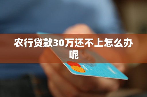 农行贷款30万还不上怎么办呢