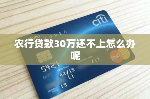 农行贷款30万还不上怎么办呢