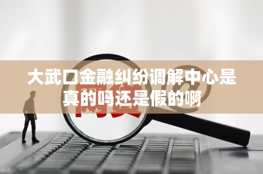 大武口金融纠纷调解中心是真的吗还是假的啊