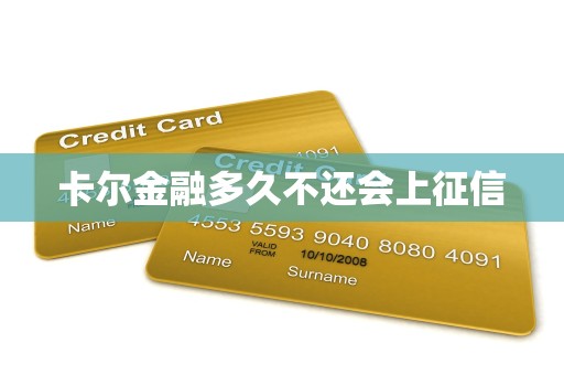 卡尔金融多久不还会上征信