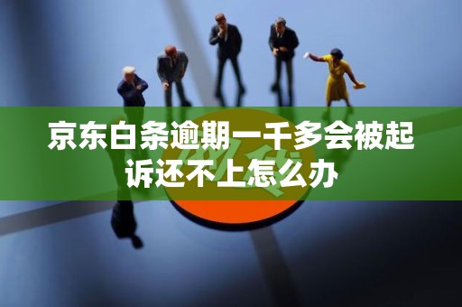 京东白条逾期一千多会被起诉还不上怎么办