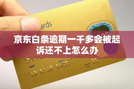 京东白条逾期一千多会被起诉还不上怎么办