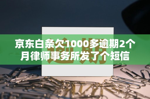 京东白条欠1000多逾期2个月律师事务所发了个短信 京东白条欠1000多逾期2个月律师事务所发了个短信