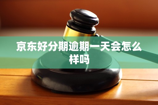 京东好分期逾期一天会怎么样吗