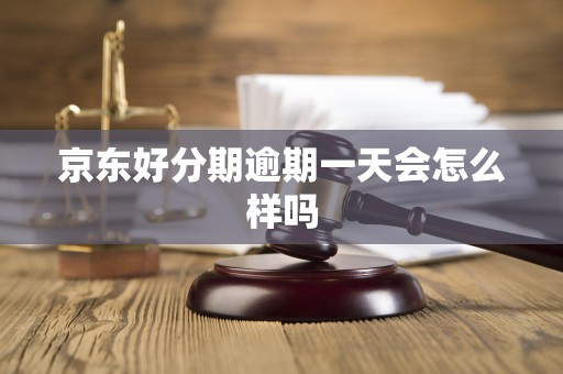 京东好分期逾期一天会怎么样吗