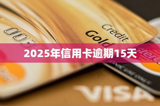 2025年信用卡逾期15天 2025年信用卡逾期15天