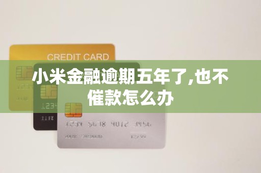 小米金融逾期五年了,也不催款怎么办