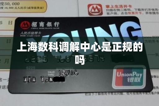 上海数科调解中心是正规的吗