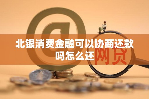 北银消费金融可以协商还款吗怎么还 北银消费金融可以协商还款吗怎么还