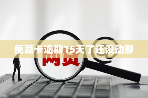 便荔卡逾期15天了还没动静 便荔卡逾期15天了还没动静