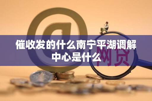 催收发的什么南宁平湖调解中心是什么