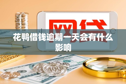 花鸭借钱逾期一天会有什么影响