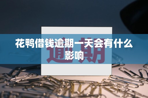 花鸭借钱逾期一天会有什么影响
