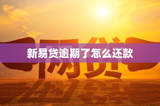 新易贷逾期了怎么还款