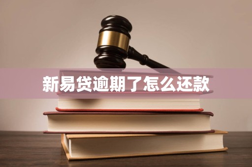 新易贷逾期了怎么还款