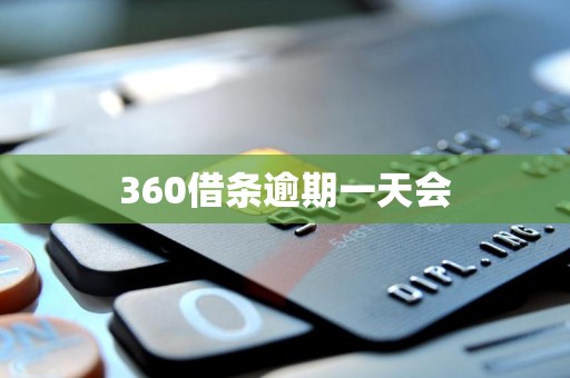 360借条逾期一天会