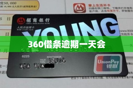 360借条逾期一天会