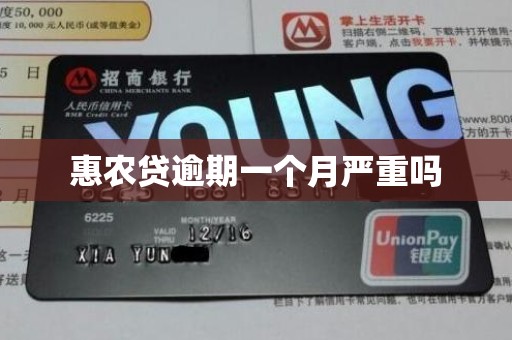 惠农贷逾期一个月严重吗