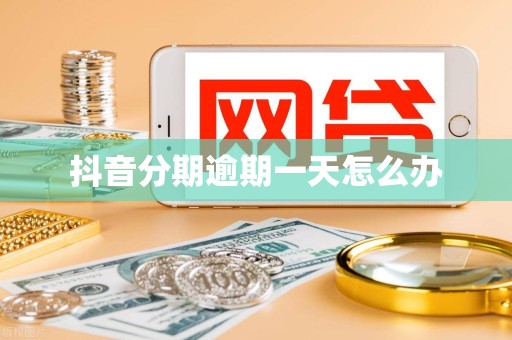 抖音分期逾期一天怎么办 抖音分期逾期一天怎么办