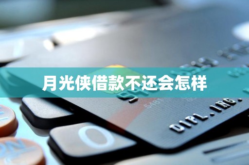 月光侠借款不还会怎样