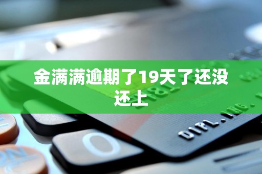 金满满逾期了19天了还没还上