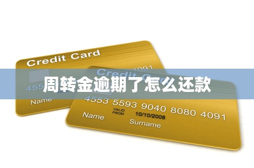 周转金逾期了怎么还款 周转金逾期了怎么还款