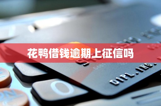 花鸭借钱逾期上征信吗