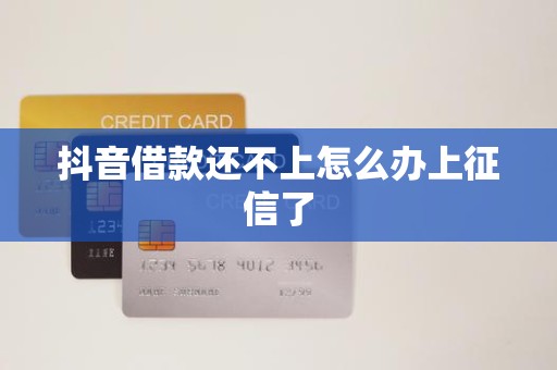 抖音借款还不上怎么办上征信了