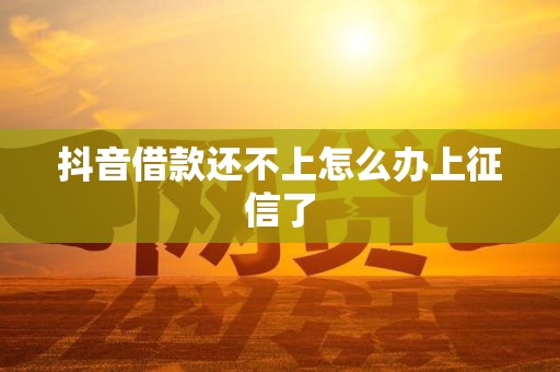 抖音借款还不上怎么办上征信了