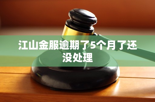 江山金服逾期了5个月了还没处理 江山金服逾期了5个月了还没处理