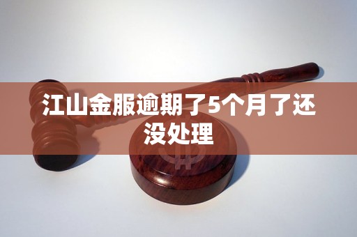 江山金服逾期了5个月了还没处理 江山金服逾期了5个月了还没处理