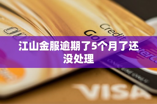 江山金服逾期了5个月了还没处理 江山金服逾期了5个月了还没处理
