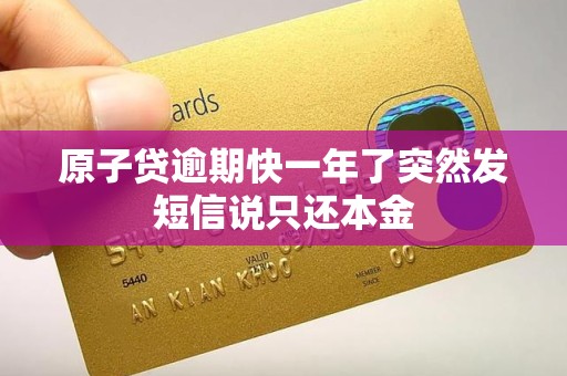 原子贷逾期快一年了突然发短信说只还本金