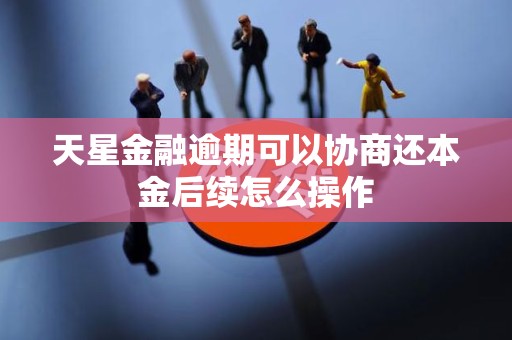 天星金融逾期可以协商还本金后续怎么操作 天星金融逾期可以协商还本金后续怎么操作