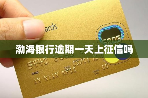 渤海银行逾期一天上征信吗