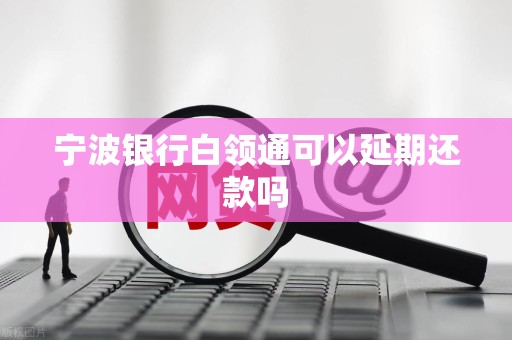 宁波银行白领通可以延期还款吗